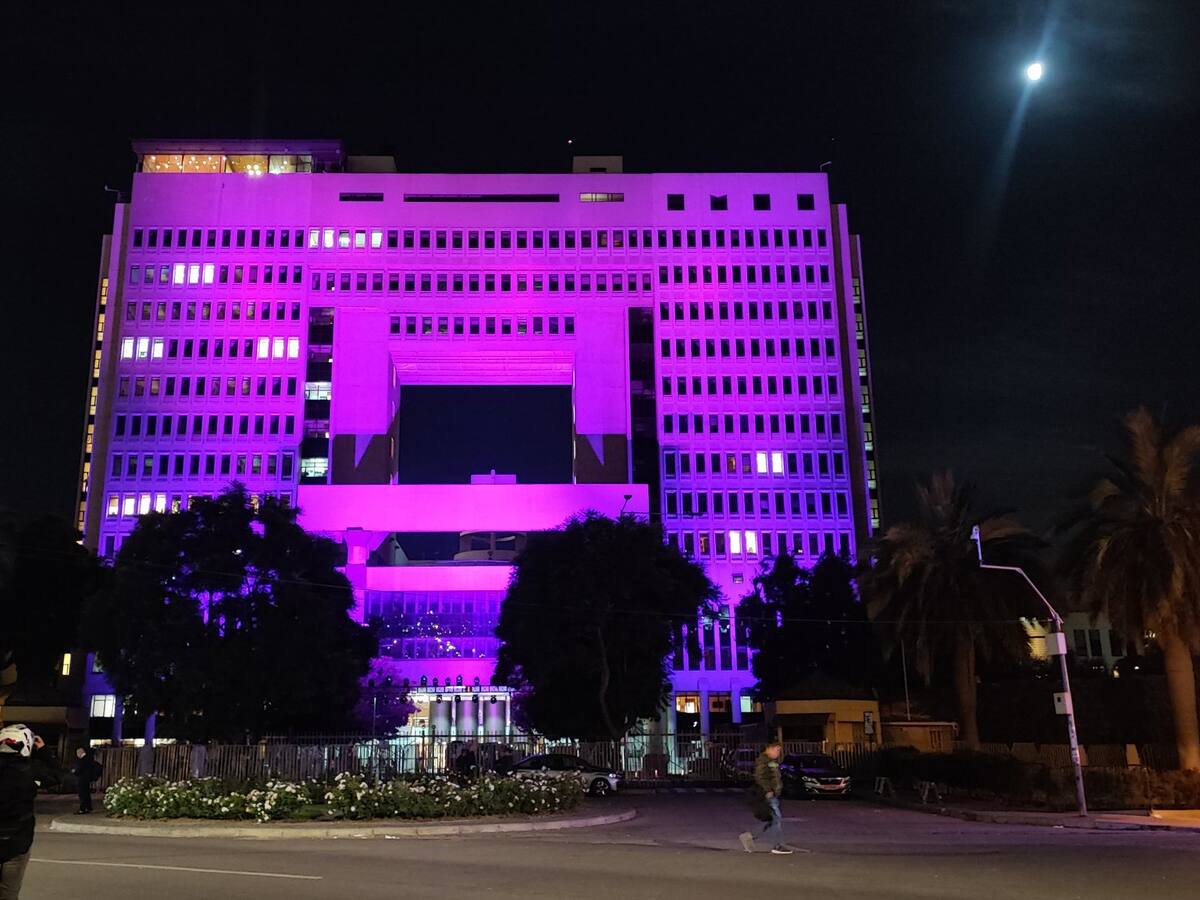 Día Púrpura por la Epilepsia: distintos edificios y monumentos del país se iluminarán para crear conciencia sobre la enfermedad