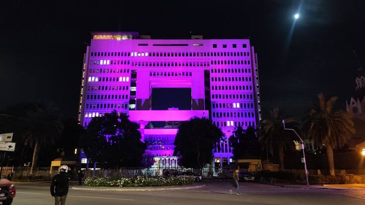 Día Púrpura por la Epilepsia: distintos edificios y monumentos del país se iluminarán para crear conciencia sobre la enfermedad