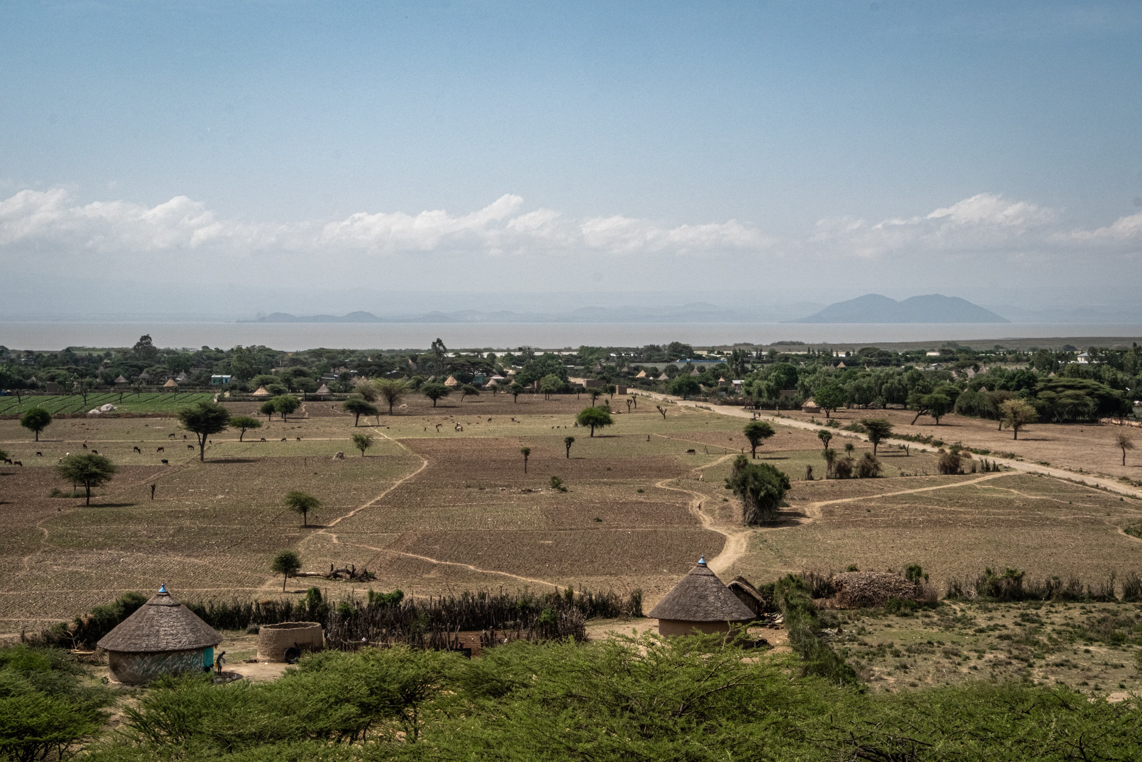 Central Rift Valley