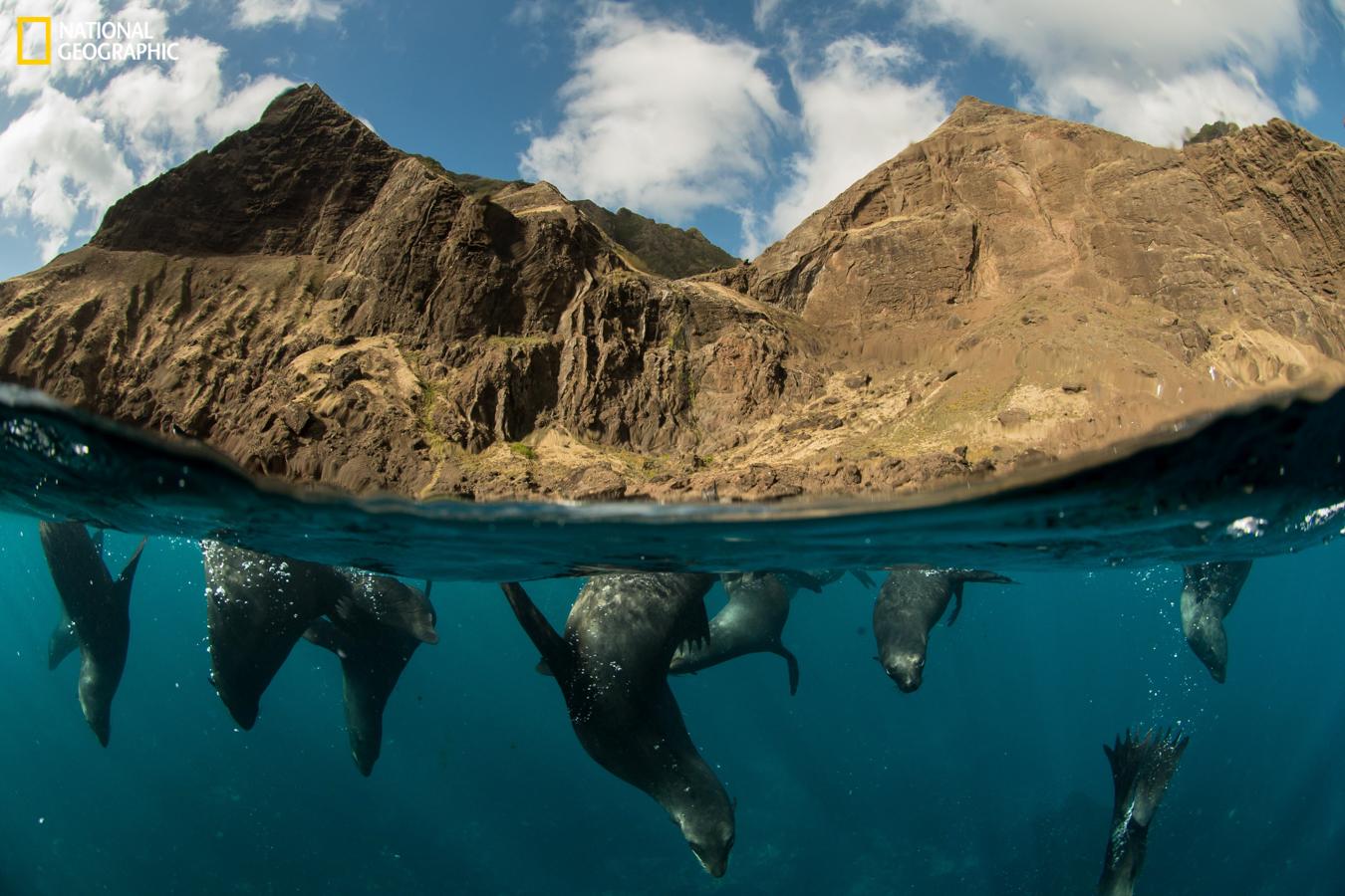 NatGeo exhibirá el documental "Archipiélago Juan Fernández"