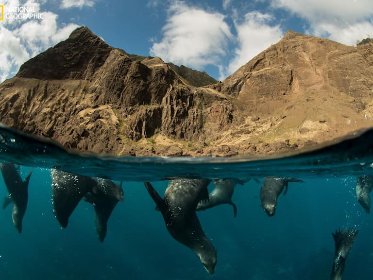 NatGeo exhibirá el documental "Archipiélago Juan Fernández"