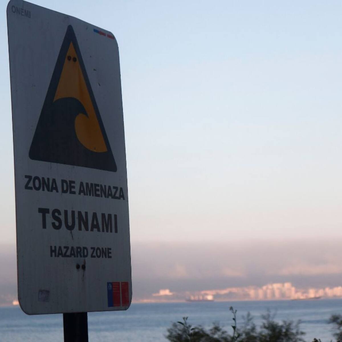 SHOA descarta riesgo de tsunami en las costas de Chile tras temblor registrado en Coquimbo