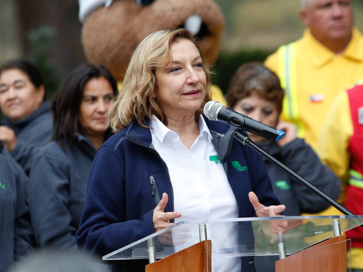 Renuncia directora de la Conaf, Aida Baldini, en medio de paro nacional de trabajadores