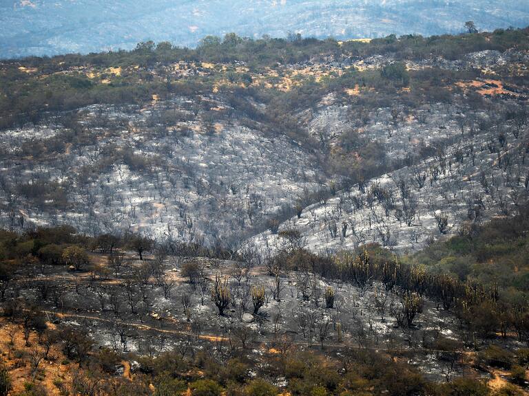 Onemi canceló la alerta roja por incendios forestales en la Región de Valparaíso y decretó alerta amarilla