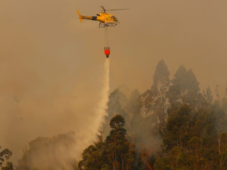 Incendio forestal en el fundo Siete Hermanas fue controlado por personal de Conaf