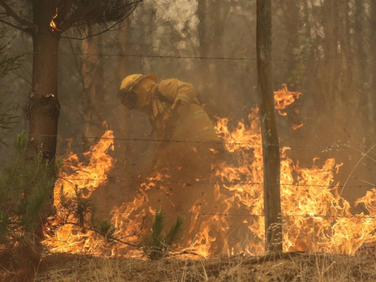 Biobío: se reactiva incendio forestal que afectó Santa Juana obligando a evacuar dos sectores de Coronel