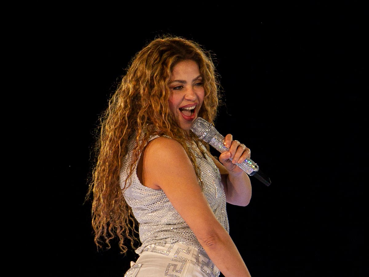Ingeniero de la Usach y suspensión de shows de Shakira en Chile: “Si había un desnivel y no lo vieron, hay un error severo de planificación”