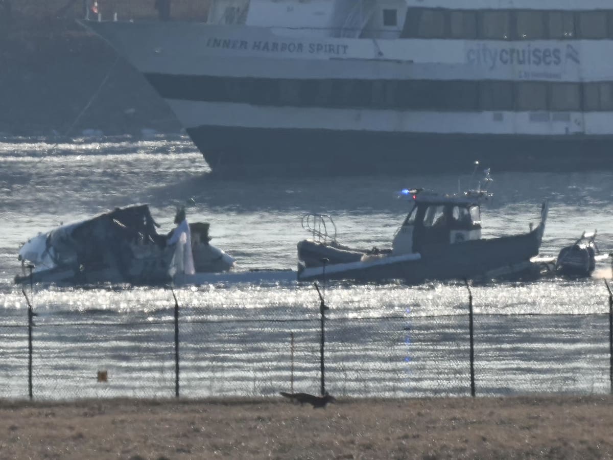 Accidente aéreo en Washington: más de 30 cadáveres han sido recuperados del río