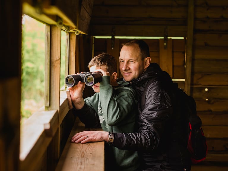 Observar este tipo de animales puede ayudar a proteger el cerebro del envejecimiento, según estudio