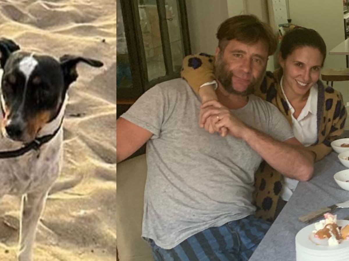 Marcial Tagle y Luz Valdivieso lamentan la muerte de su perrito: había desaparecido producto de los fuegos artificiales