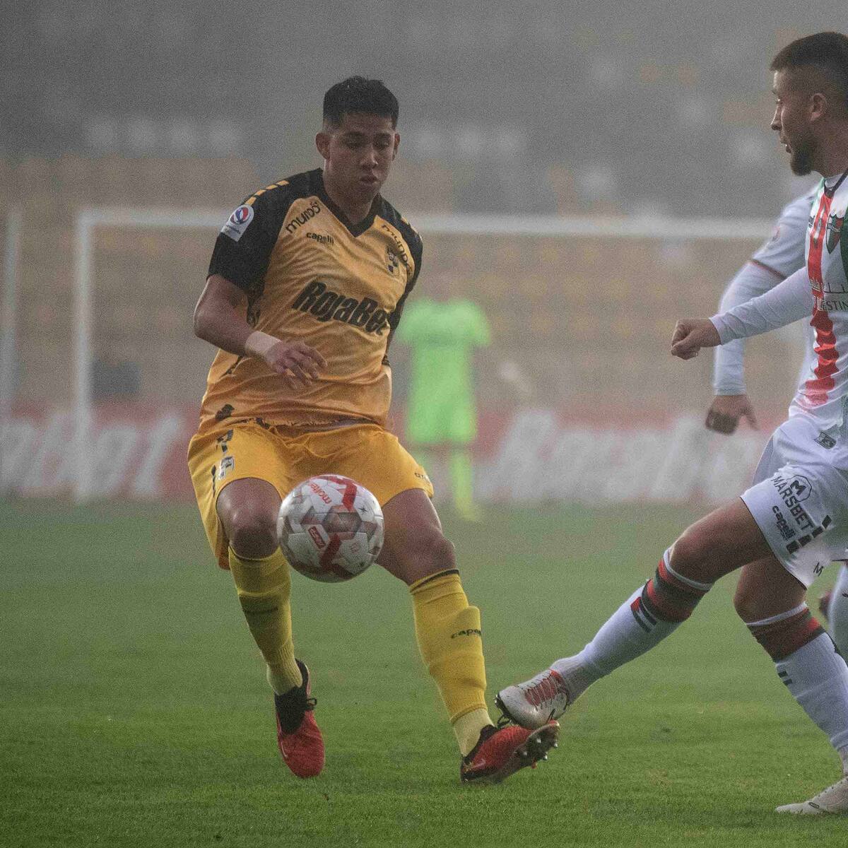 Coquimbo Unido y Palestino firmaron un empate en un entretenido partido por el Campeonato Nacional