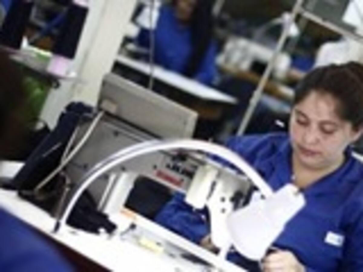 Desempleo cayó a 6,1% en el trimestre septiembre-noviembre