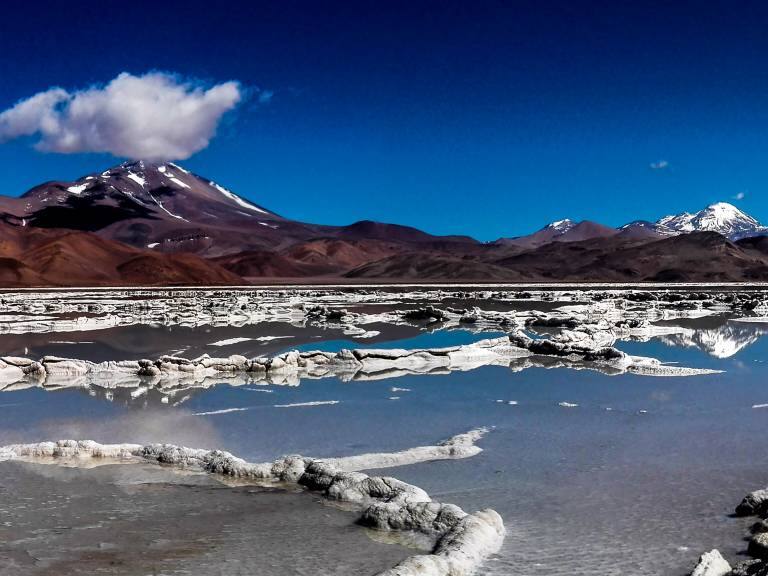 Académicos, artistas y políticos: figuras públicas envían carta al Presidente Boric instándolo a crear una empresa nacional del litio