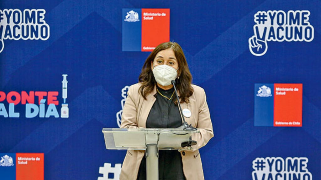 Ministra de salud María Begoña Yarza