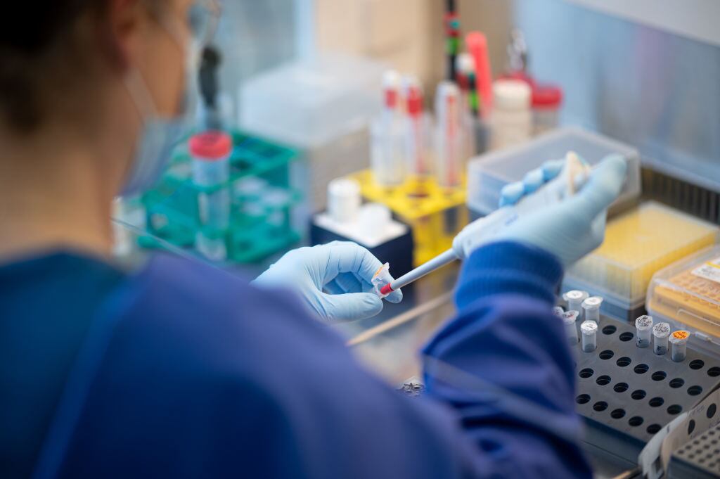 Trabajadora de un laboratorio analiza muestras del covid-19 en Hamburgo