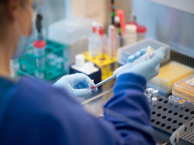 Trabajadora de un laboratorio analiza muestras del covid-19 en Hamburgo