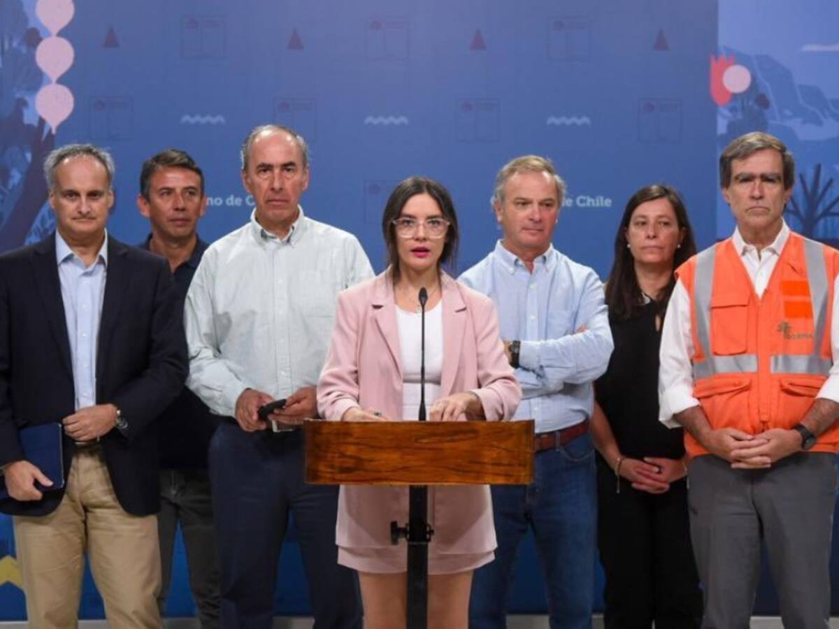 Ministra Vallejo tras reunión con empresarios por incendios forestales: «Fue para reforzar la ayuda y hacer un llamado a que más actores se sumen»