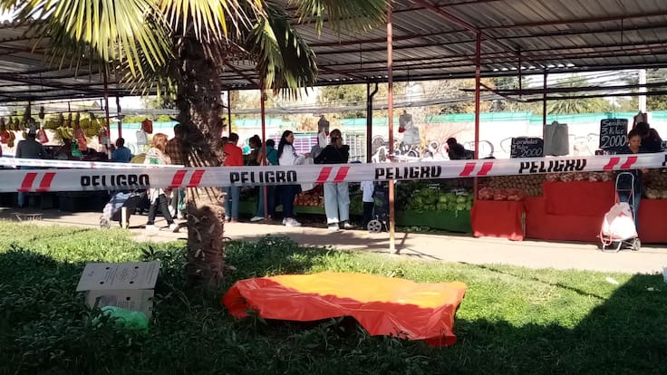 Encuentran dos cráneos frente a feria libre en Macul: serían presuntamente humanos