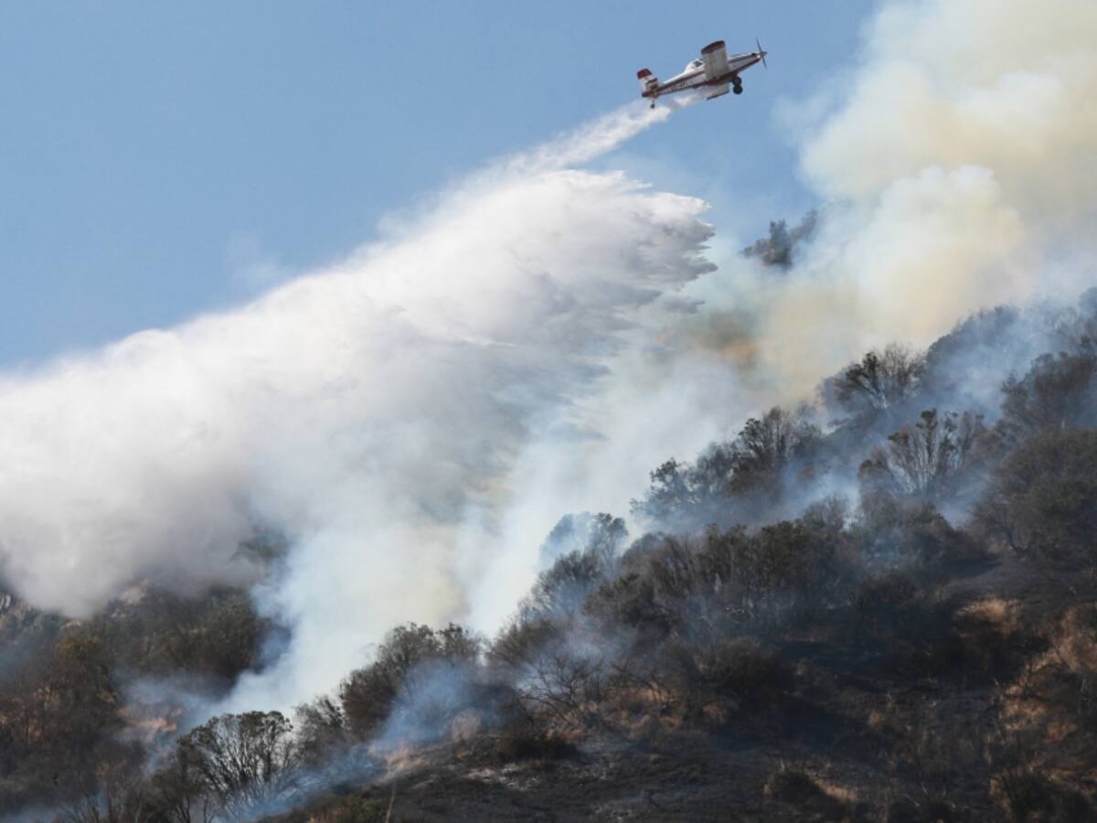 Balance Senapred: nueve incendios forestales se mantienen en combate, mientras que 90 se encuentran controlados