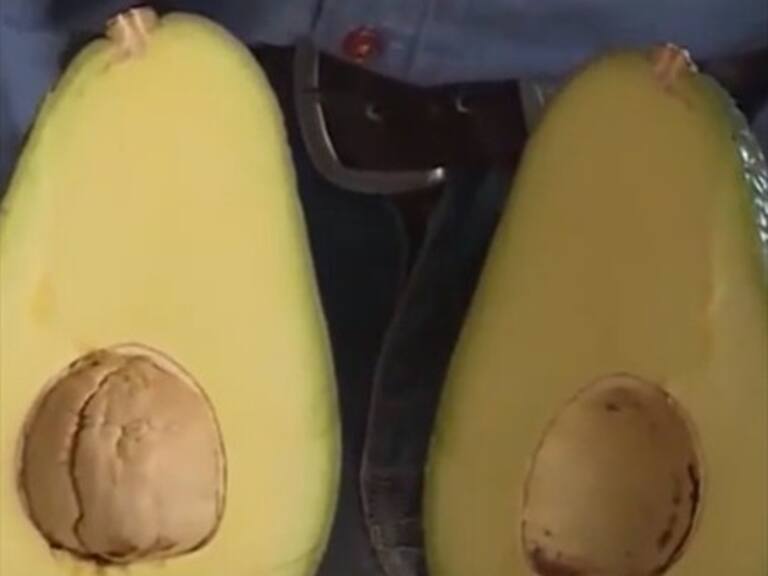 Palta-zilla: En Australia comenzaron a vender una variedad de palta de 1,8 kilos