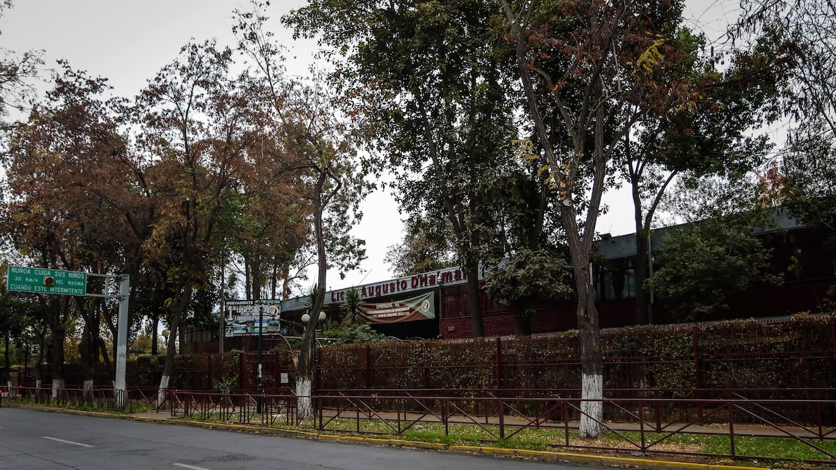 Del éxito a la crisis: El único colegio municipal del Top 100 de la PAES se va a paro por plaga de ratones e inundaciones