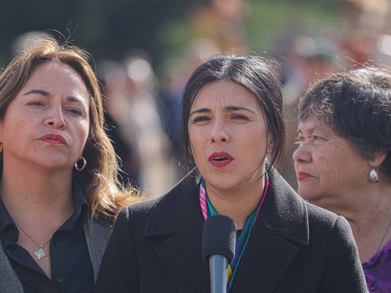 Comisiones de la Cámara de Diputados debatirán proyectos de seguridad en semana distrital tras el asesinato de carabineros en Cañete
