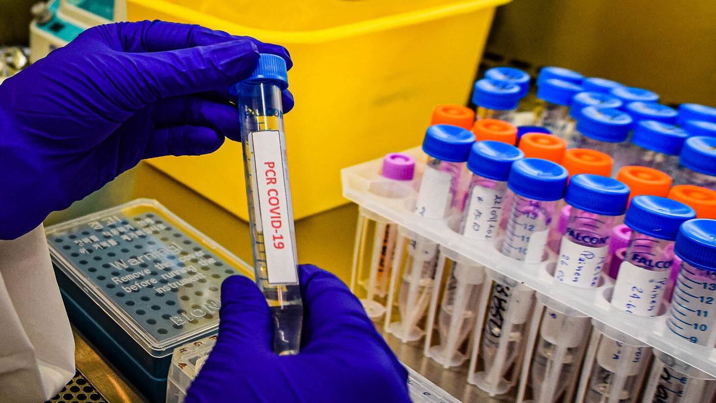 Presidente Piñera dijo que hay un rebrote de la pandemia hace seis semanas