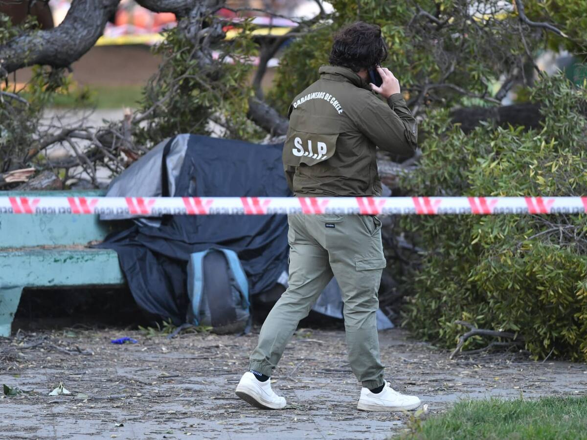 Árbol de gran tamaño cae en Parque Italia de Valparaíso y provoca la muerte de una persona: hay otro herido de gravedad