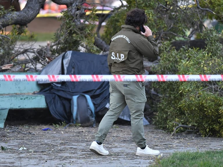 Árbol de gran tamaño cae en Parque Italia y deja un fallecido en Valparaíso