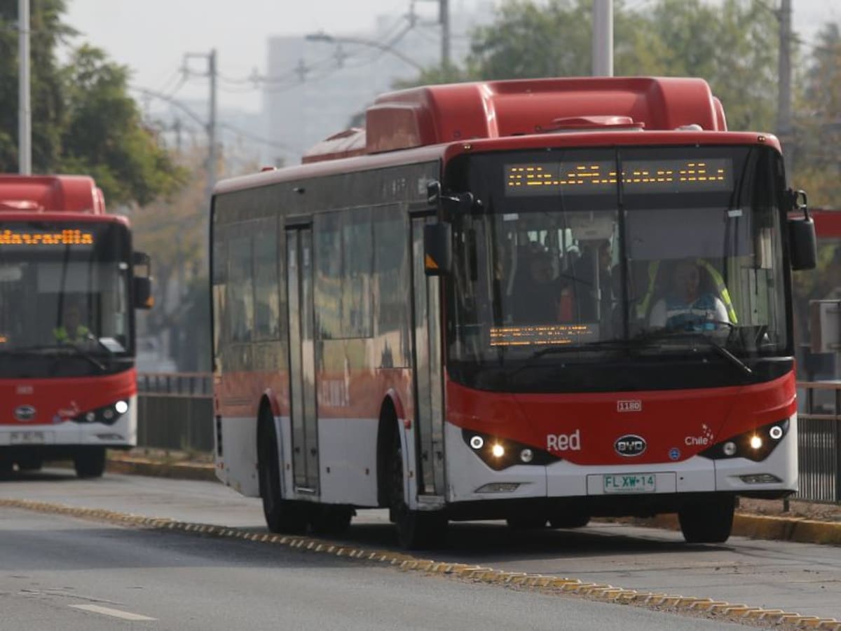 Ley Alberto: en qué consiste el proyecto que busca aplicar test de drogas a los choferes del transporte público cada 6 meses