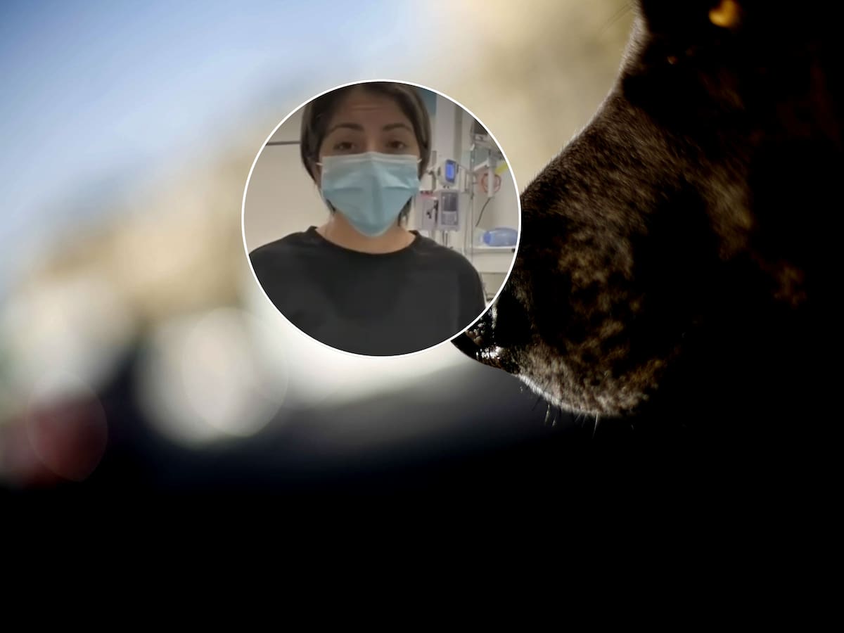 “Estuvo gritando, pidió ayuda y no fue atendida”: madre denuncia negligencia tras ataque de perros a niña de 10 años
