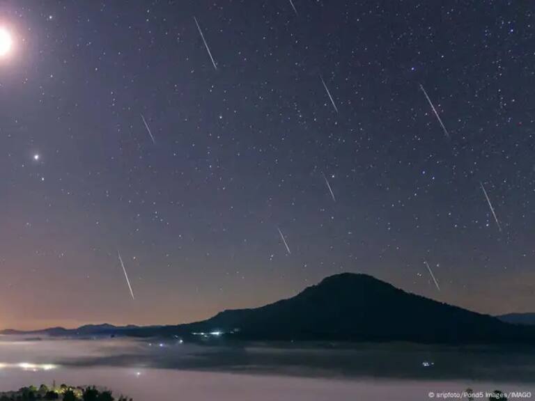 sripfoto/Pond5 Images/IMAGO