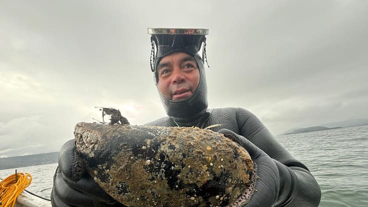“Cuando lo vi, me llamó la atención”: hombre que halló choro gigante revela qué hizo con el impresionante molusco