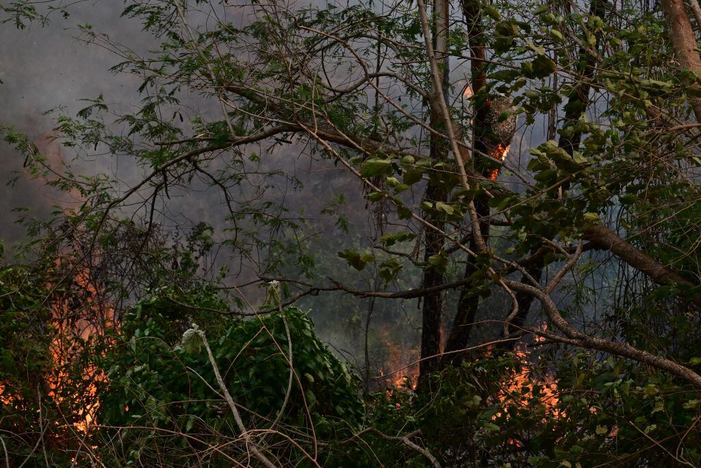 El fuego consume una parte del Pantanal en el estado Mato Grosso da Sul en Brasil.