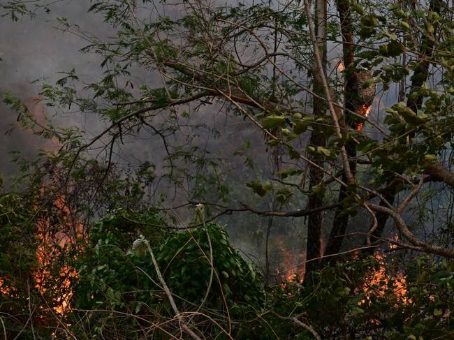 El fuego consume una parte del Pantanal en el estado Mato Grosso da Sul en Brasil.