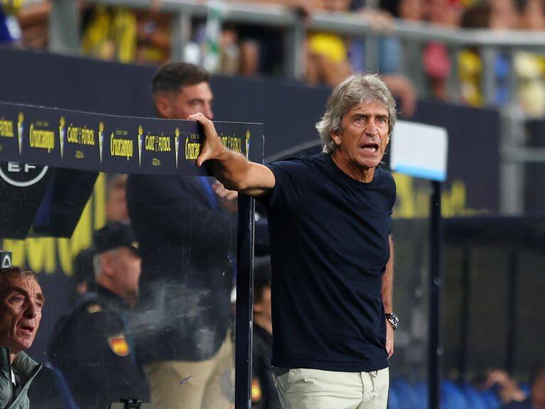 Manuel Pellegrini