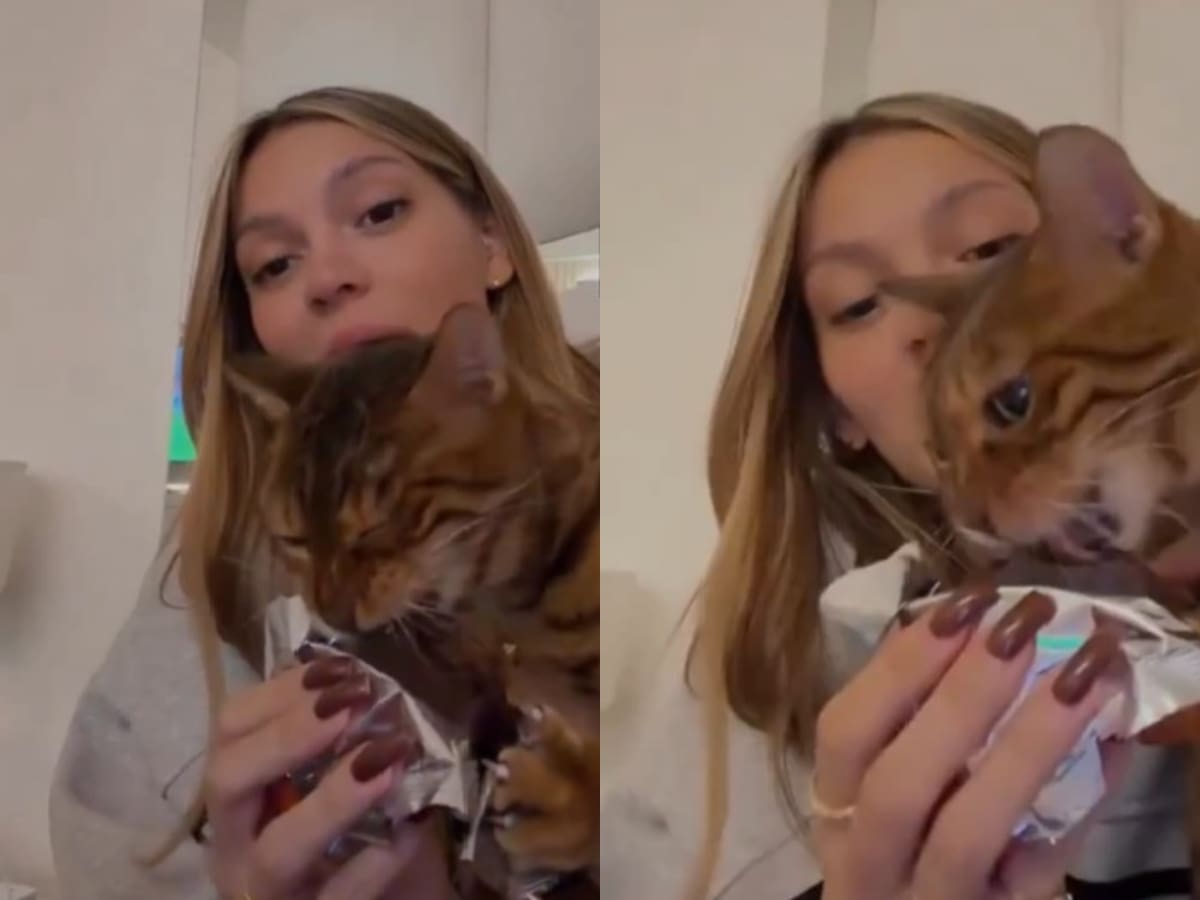 Indignación en redes sociales: influencer le da chocolate a su gata y se llena de criticas