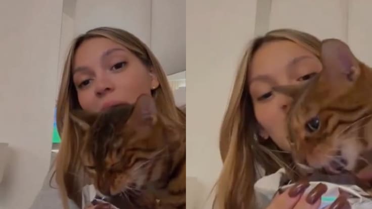 Indignación en redes sociales: influencer le da chocolate a su gata y se llena de criticas