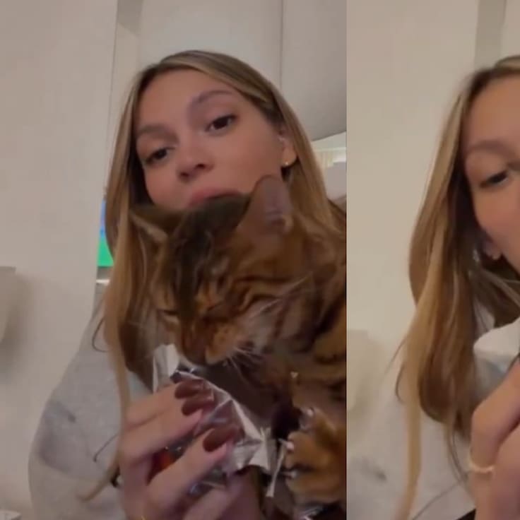 Indignación en redes sociales: influencer le da chocolate a su gata y se llena de criticas