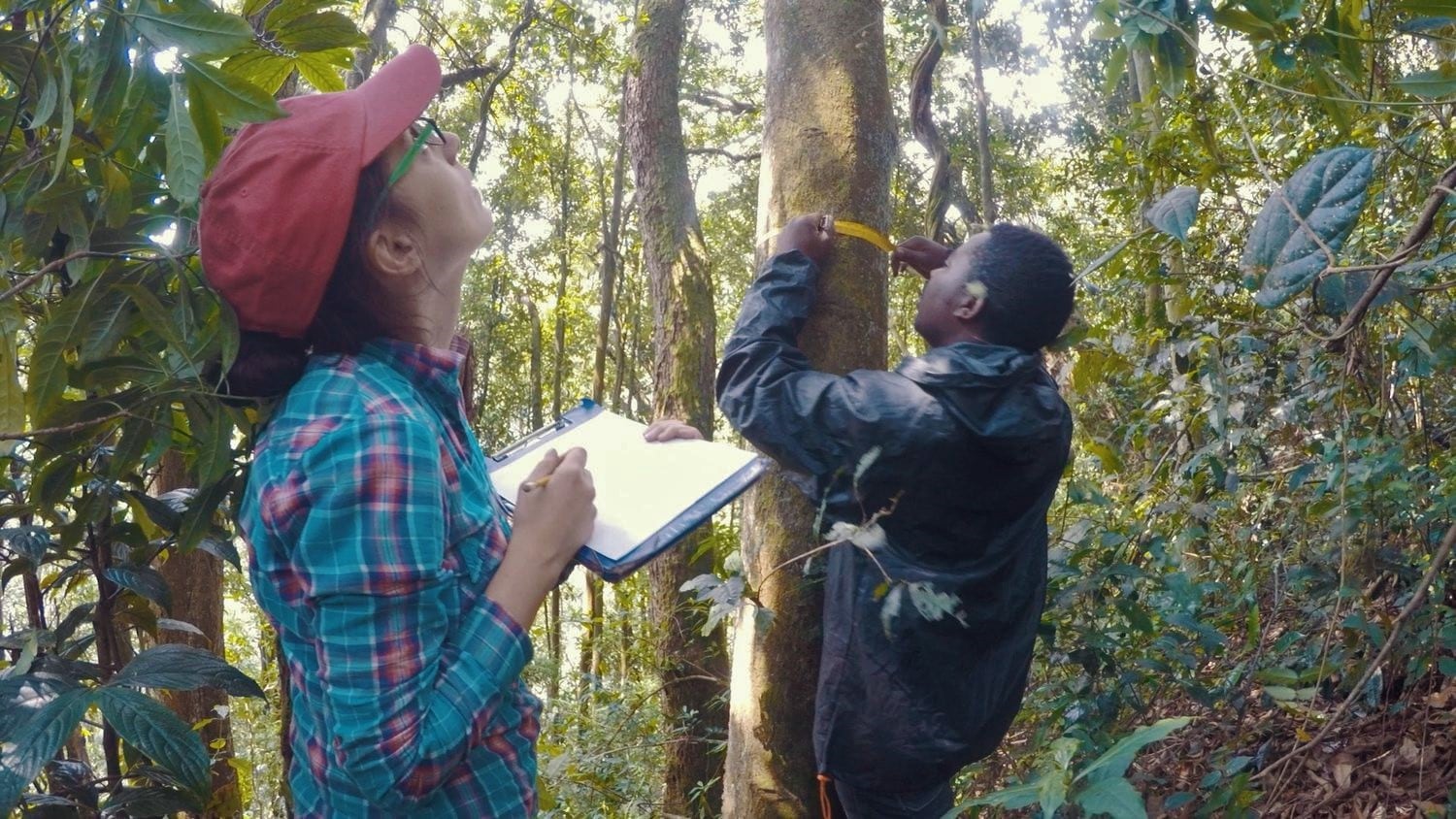 La investigadora Aida Cuní Sánchez en un bosque de la República Democrática del Congo
