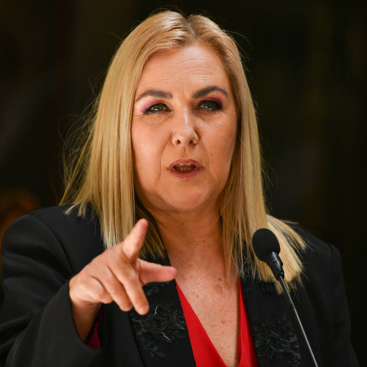 Diputada Jiles insta al gobierno de Kast a evaluar un nuevo retiro de AFP por incendios: “Me lo piden todos los días”