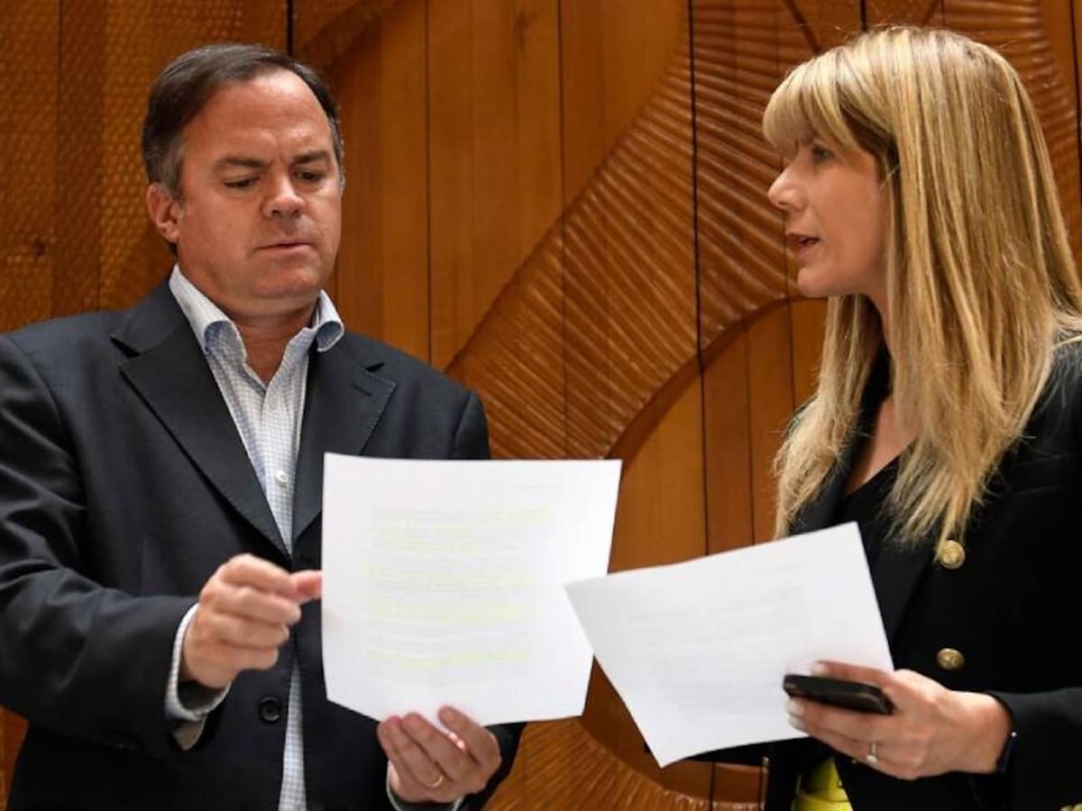 Servel declara a «Demócratas» como partido político en formación