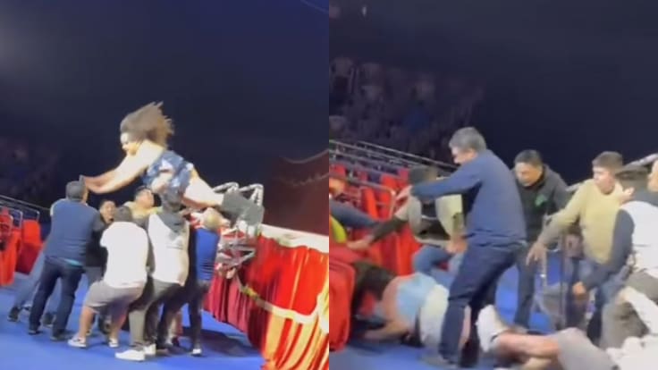 Caída viral termina en cirugía de emergencia: estado de salud de artista nocturna de Chile preocupa tras intervención