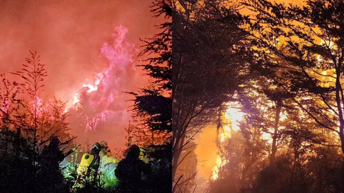 Cinco focos simultáneos: municipio de Puerto Montt anuncia querella por incendio intencional en tradicional parque