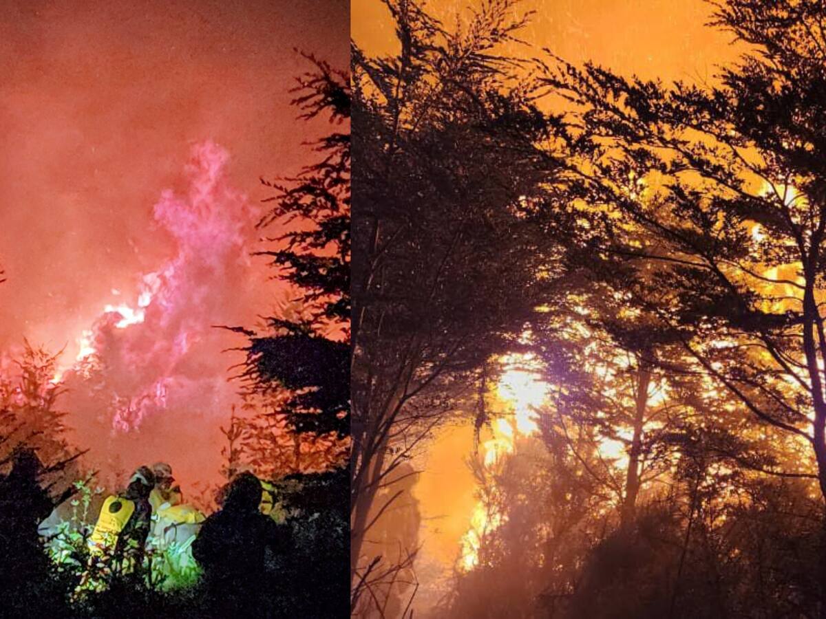 Cinco focos simultáneos: municipio de Puerto Montt anuncia querella por incendio intencional en tradicional parque
