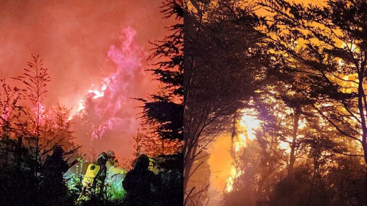Cinco focos simultáneos: municipio de Puerto Montt anuncia querella por incendio intencional en tradicional parque