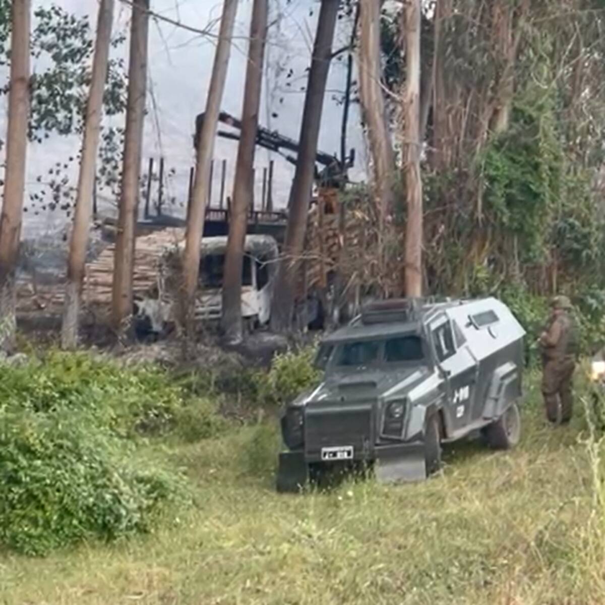 Ataque incendiario en Nueva Imperial deriva en incendio forestal: Conaf trabaja en el lugar