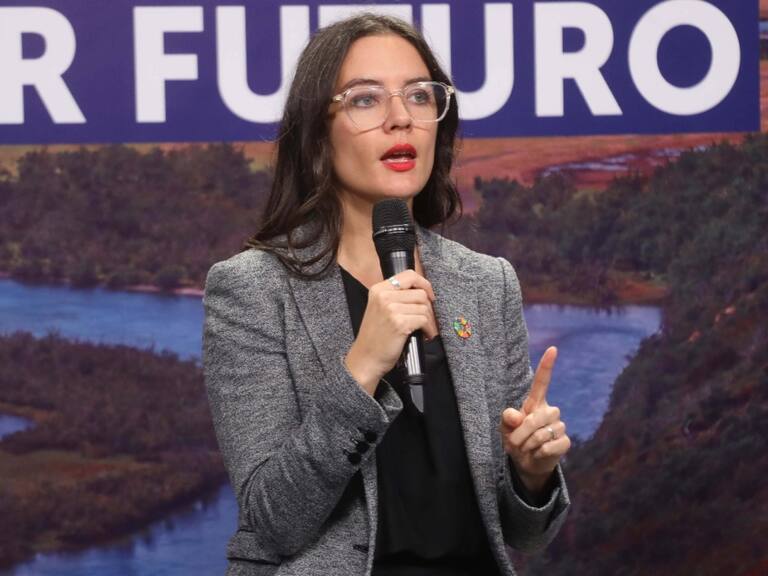Ministra Vallejo y elecciones Consejo Constitucional: «El Gobierno no torcerá su dirección sea cual sean los resultados”