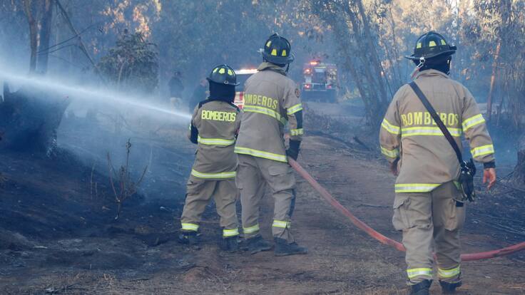 Incendio Forestal en la región de O’Higgins: declaran Alerta Roja para la comuna de Marchigüe