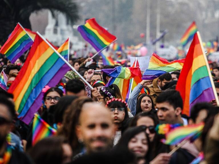 Comisión de DDHH del Senado aprueba declarar el 16 de noviembre como Día Nacional de la Diversidad